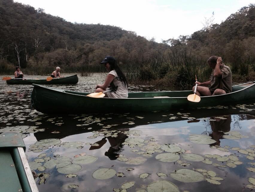 Wheeny Creek クラジョン トレイルズ アンド コテージズゲストハウス エクステリア 写真